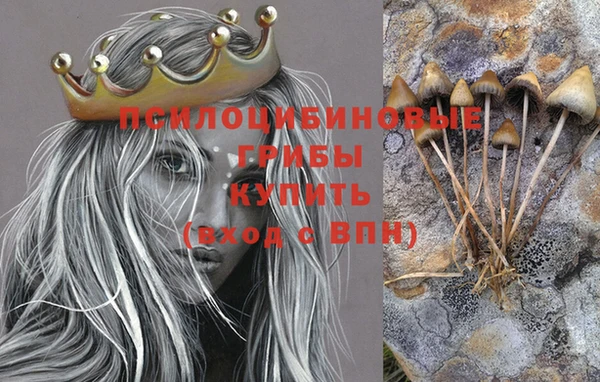 метадон Нея