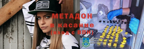 прущие грибы Новозыбков