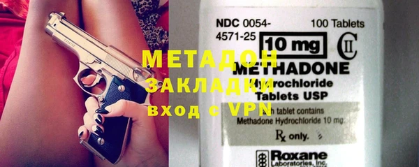 прущие грибы Новозыбков